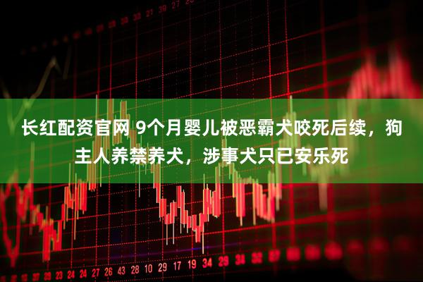 长红配资官网 9个月婴儿被恶霸犬咬死后续，狗主人养禁养犬，涉事犬只已安乐死