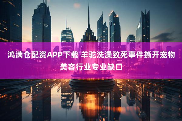 鸿满仓配资APP下载 羊驼洗澡致死事件撕开宠物美容行业专业缺口