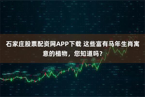 石家庄股票配资网APP下载 这些富有马年生肖寓意的植物，您知道吗？