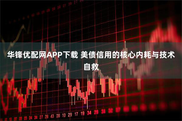 华锋优配网APP下载 美债信用的核心内耗与技术自救