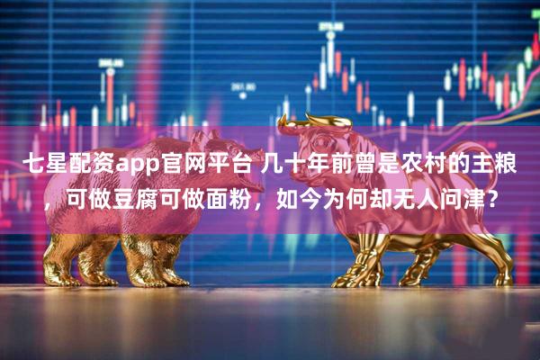 七星配资app官网平台 几十年前曾是农村的主粮，可做豆腐可做面粉，如今为何却无人问津？